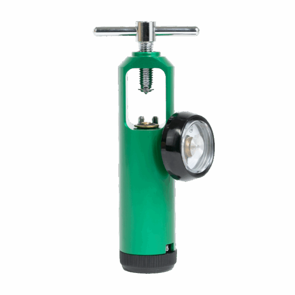 Oxygen Regulator 0-15LPM 1 HP Outlets