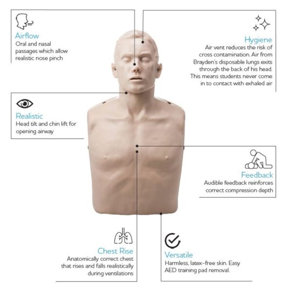 BRAYDEN CPR Manikin (Without Lights) - Image 2