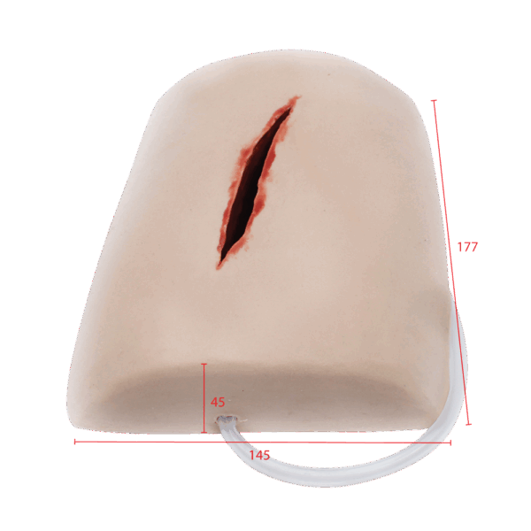 TRAUMASIM Laceration Haemostatic Clotting Trainer - Image 2