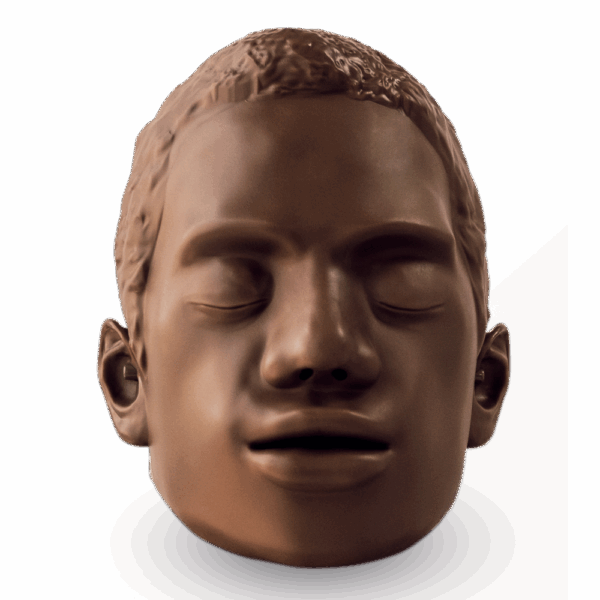 BRAYDEN OBI Conversion Kit - Image 3