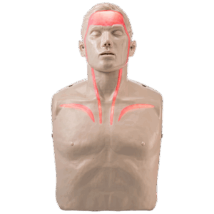 BRAYDEN Pulse CPR Manikin (With Lights)