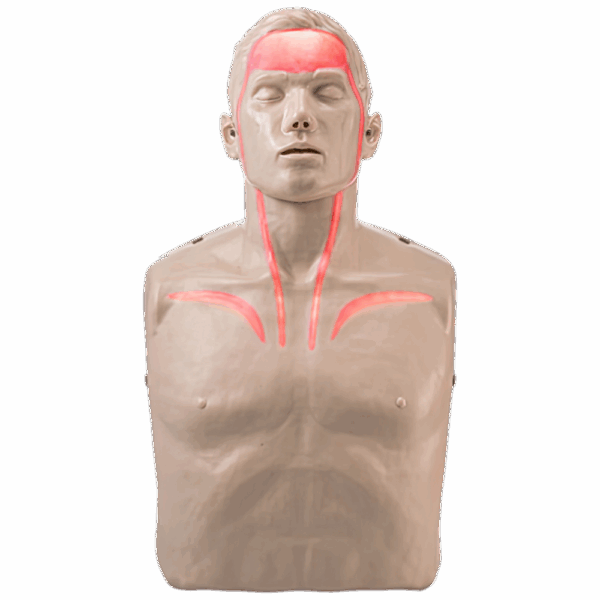 AEROLEARN Essential First Aid Trainer Equipment Starter Pack - Image 2
