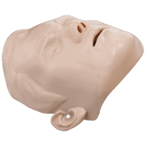 BRAYDEN Manikin Face Skin - Adult