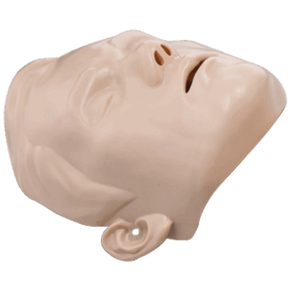 BRAYDEN Manikin Face Skin - Adult