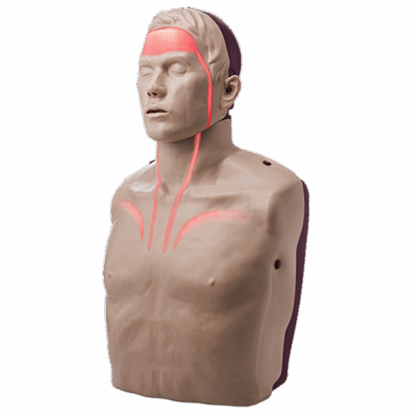 BRAYDEN PRO CPR Manikin (Bluetooth Connectivity)