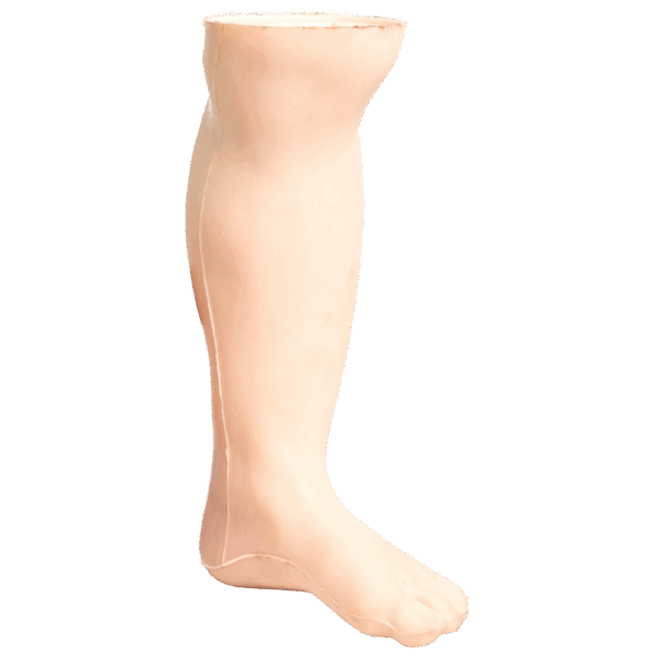 Demo Leg Infant