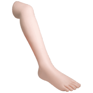 Demo Leg Paediatric